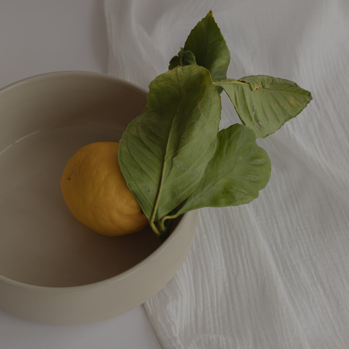 Bowl BASE
